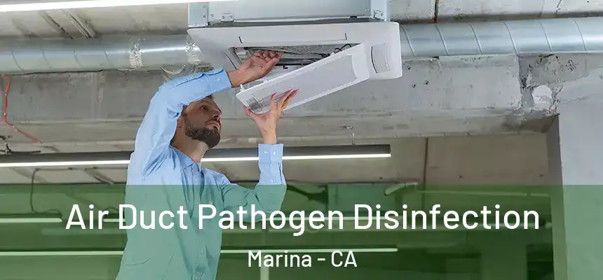  Air Duct Pathogen Disinfection Marina - CA