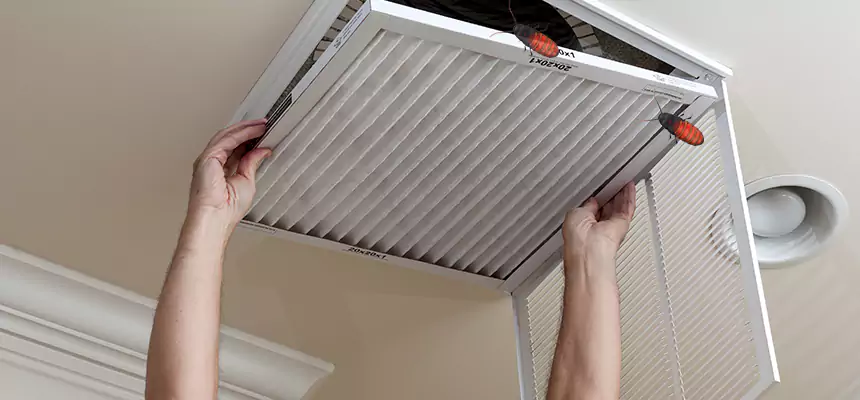 Preventive Cockroach-Proofing for Ducts in Marina