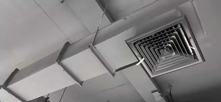 Our Rodent Droppings In Vents Services in Marina, CA