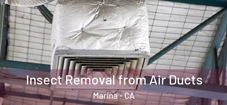  Insect Removal from Air Ducts Marina - CA