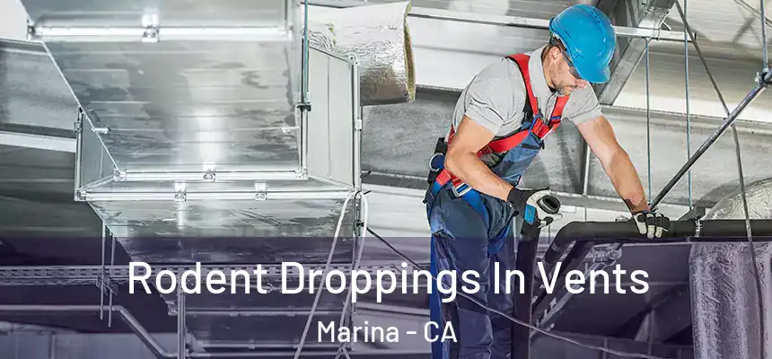 Rodent Droppings In Vents Marina - CA