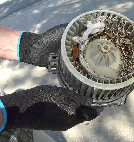 About Air Duct Rat Removal in Marina, CA