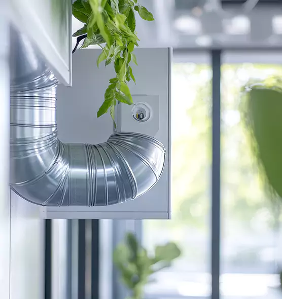 Professional Eco-Friendly Duct Cleaning Services in Marina, CA