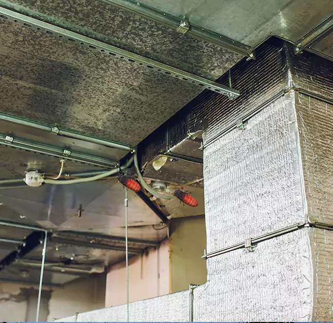 Why Homeowners & Businesses Trust Us Marina, CA?