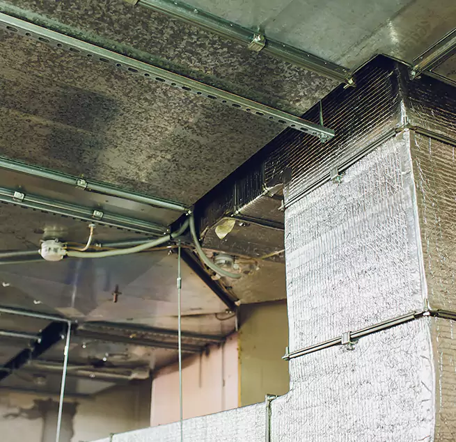 Why Homeowners & Businesses Trust Us in Marina, CA?